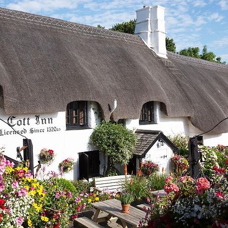 The Cott Inn Totnes Dış mekan fotoğraf